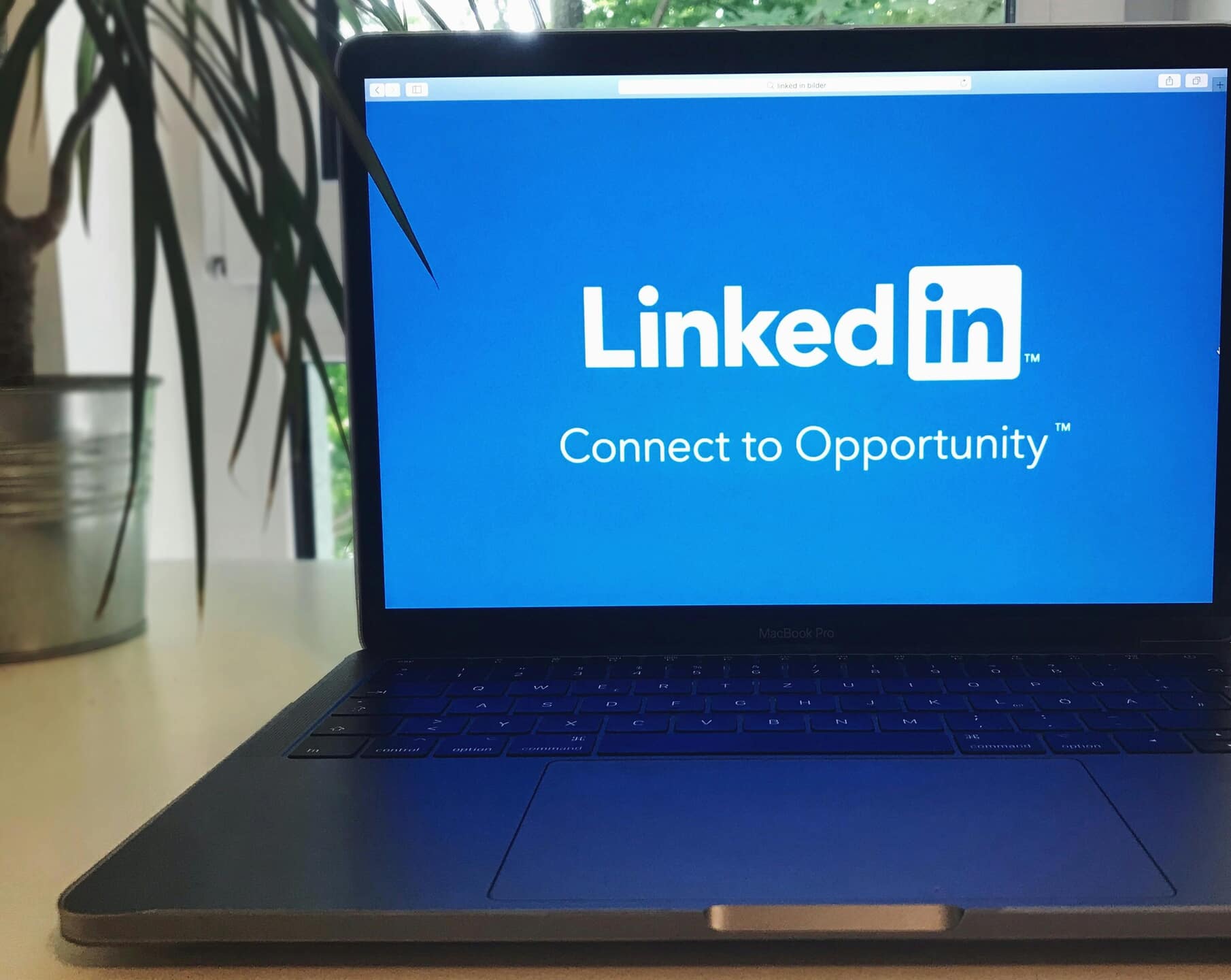 Organisch bereik vergroten met LinkedIn bedrijfspagina