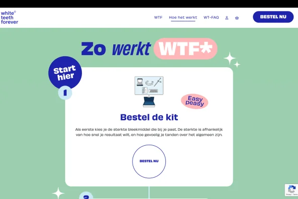 Hoe werkt het - WTF maatwerk WordPress website